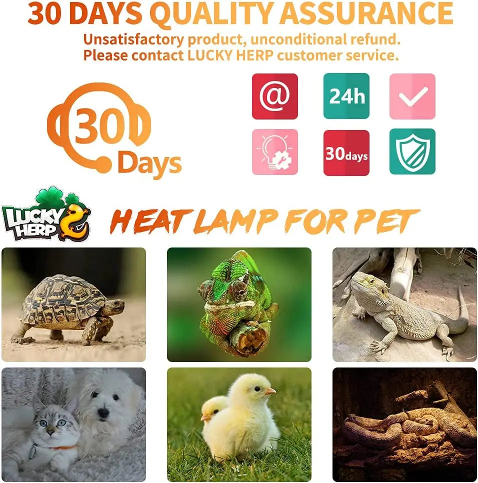 Ceramic Heat Emitter Bulbs for Reptiles, 2-Pack