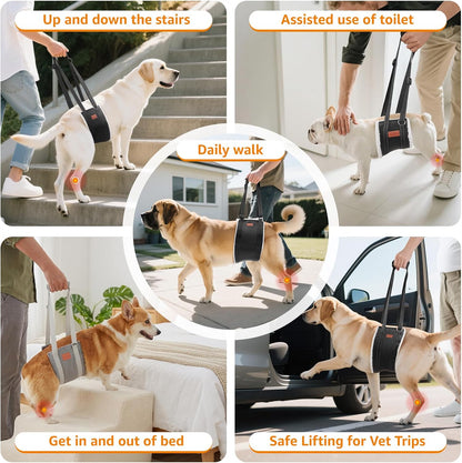 Portable Dog Sling for Back Legs, Hip Support Harness to Help Lift Rear for Canine Aid Old K9 Cruciate Ligament Rehabilitation