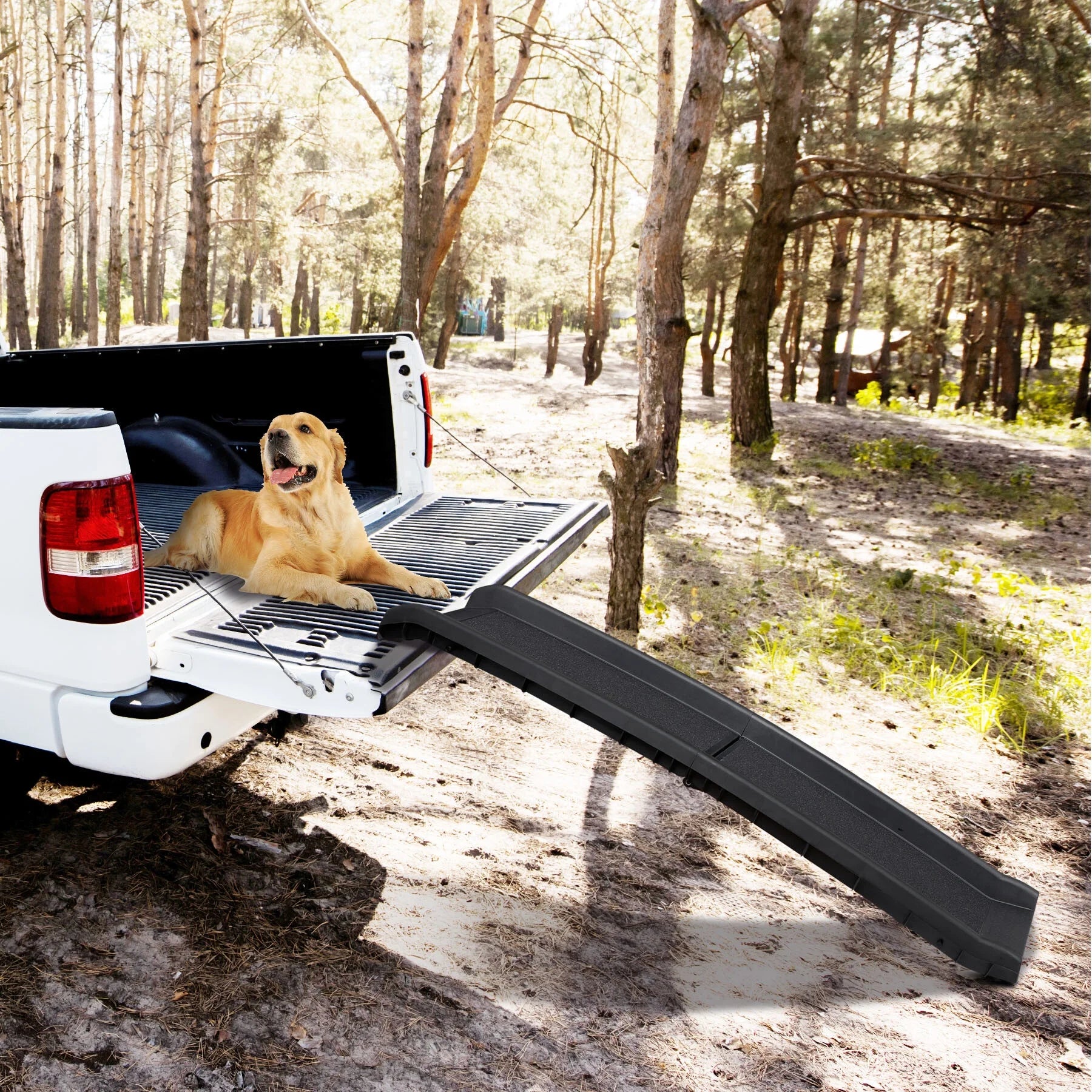 62-Inch Folding Dog Ramp 150LBS Non-Slip Pet Car Ramp for Truck SUV Doorstep Porch Black