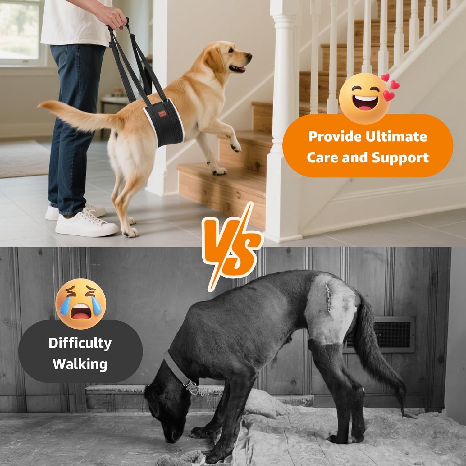 Portable Dog Sling for Back Legs, Hip Support Harness to Help Lift Rear for Canine Aid Old K9 Cruciate Ligament Rehabilitation